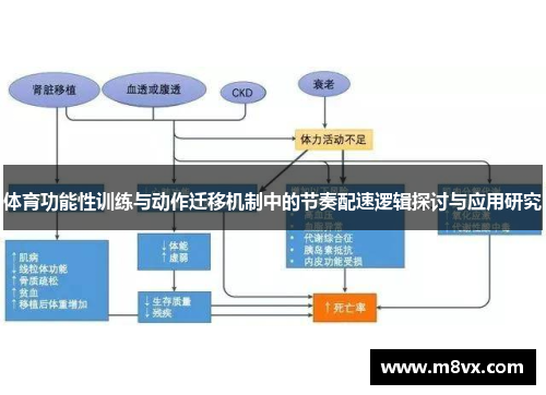 体育功能性训练与动作迁移机制中的节奏配速逻辑探讨与应用研究