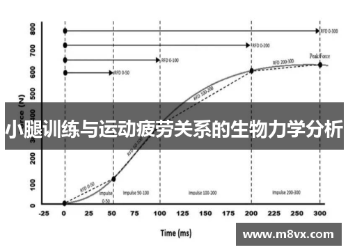 小腿训练与运动疲劳关系的生物力学分析